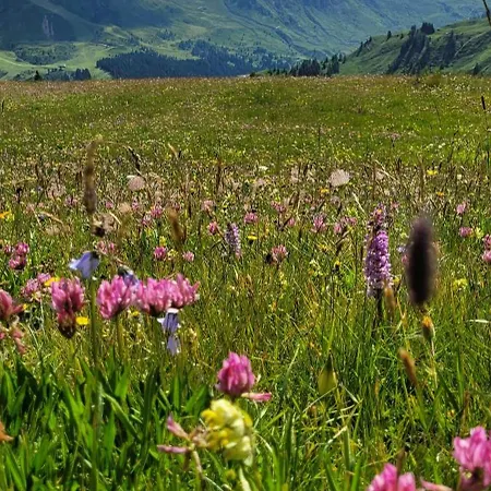 Garni Royal Hotell 3*